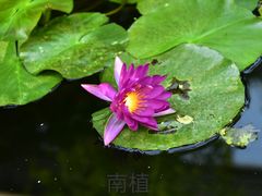 -国家植物园南园