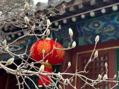 -潭柘寺景区