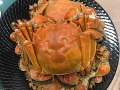 -王宝和酒家(黄浦店)