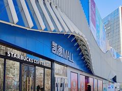 -凯德MALL(望京店)