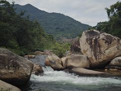 -海南热带雨林国家公园吊罗山景区