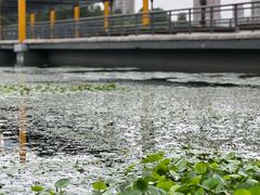 -白塘生态植物园