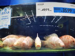 -果蔬好生活超市(东湖店)