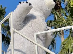 -珠海长隆海洋王国