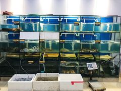 -胖大嫂渔家排档·全海景餐厅(渔村店)