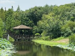 -同里国家湿地公园