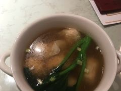 -南枝记
