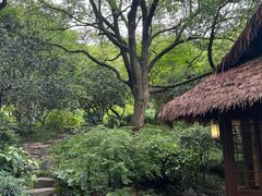 -中国茶叶博物馆(双峰馆区)