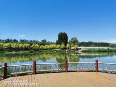 -东郊湿地公园