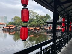 -侨美·唐荔园·40年地道粤菜