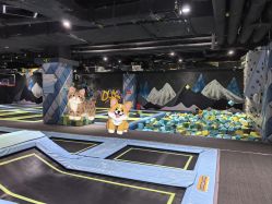 -反弹蹦床公园·亲子乐园·团建·派对(青岛融创茂店)