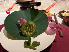 -叶叶菩提(太原别墅店)