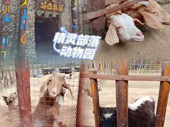 -呀路古热带植物园