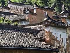 -杨家堂村