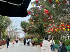 -厦门园林博览苑