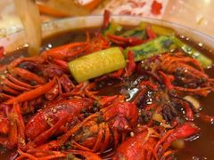 -杨氏青龙虾·羊蝎子(珠江路店)