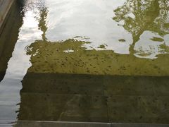 -咸宁万豪温泉谷度假区