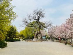 -大望京儿童游乐场