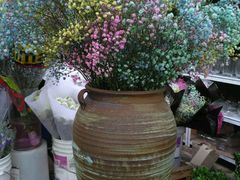 -秦美花卉(天朗·莱茵小城2期店)
