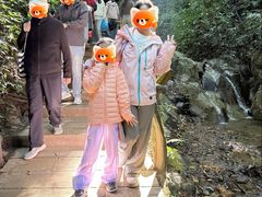 -西双版纳原始森林公园