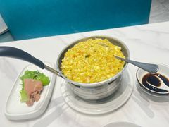 -丁老爷子苏香圆