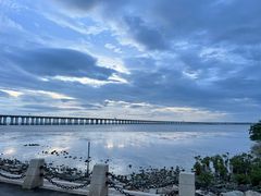 -宝安西湾红树林湿地公园
