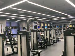 -金吉鸟健身游泳