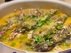 压锅酸汤昂刺鱼-二十八里太湖船菜(吉祥路店)