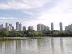 -泰丰公园