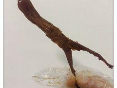 鸭舌头-周黑鸭(深圳罗湖区东门九龙城店)