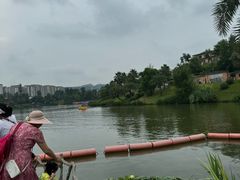 -枫香湖儿童公园