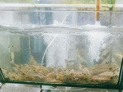 -海之鲜大排档(东山海鲜金銮湾店)