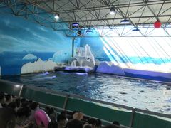 -秦皇岛乐岛海洋王国