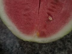 -悦然广场(北滘店)