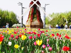 -长春公园(普阳街道)