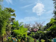 -The Palmboo Restaurant