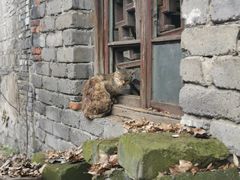 -书隐楼
