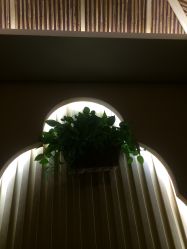 -永琪美容美发全国直营连锁