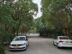 -胜华驾校·小猫学车(银都店)
