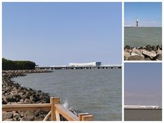 -上海吴淞炮台湾国家湿地公园