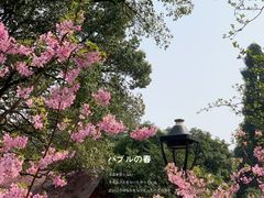 -南山植物园