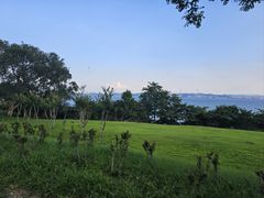 -刘公岛景区