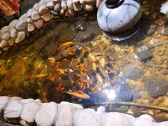 -馬蘭花開(车站大道店)