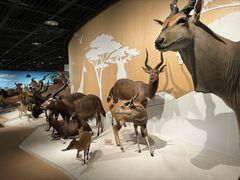 -陕西自然博物馆