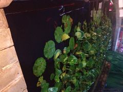 iphone_upload_pic-荷香居(洞企石路店)