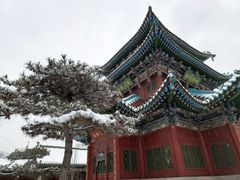 -迎泽公园
