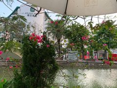 -奈雪的茶(大梅沙8号仓店)