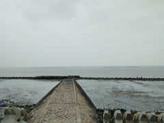 -南汇嘴观海公园