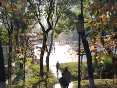 -重庆市江北嘴中央商务区中央公园