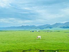-新疆那拉提国家旅游度假区